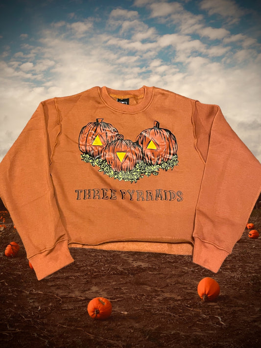 Pumpkin patch crop